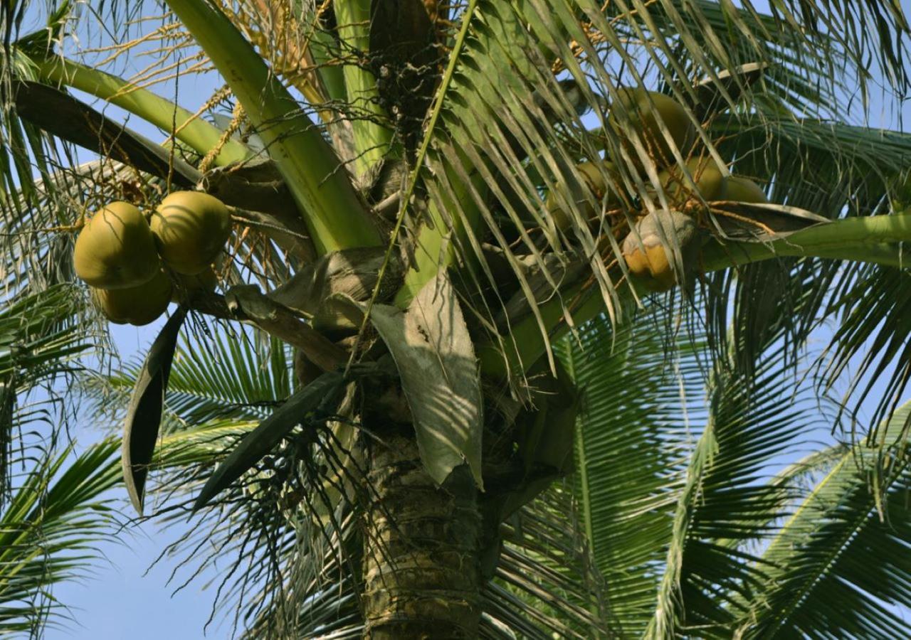 Cocobeach-Hotel Lome Luaran gambar